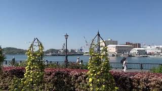 Verny Park in Yokosuka 20230409 1080p