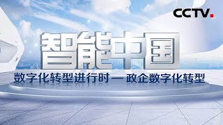 第五集：人工智能进入产业级大模型时代！2022年全国约需200万AI训练师 「智能中国——数字化转型进行时」| CCTV财经