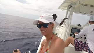 EPIC Blue Marlin catch while FISHING for Yellowfin TUNA Big Fishing