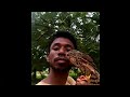 Shikra training | little banded goshawk training | Abir birds