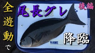 神奈川真鶴半島地磯でメジナ釣り 全遊動と沈ませ釣り後編 MANCING MANIA JAPAN