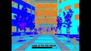 Black and White in Color Illusion