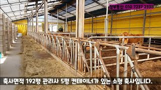 [2억8000만 ]명품한우고장 횡성 깨끗한 축사매매  둔내IC 5분거리의 축사매매  50두이하 소형 축사매매