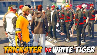 TRICKSTER VS WHITE TIGER ! MULAI MEMANAS ! -  GTA V ROLEPLAY INDONESIA