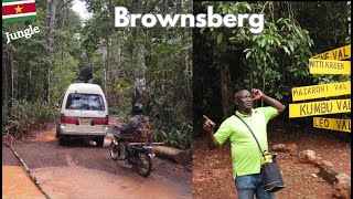 🇸🇷 Suriname Binnenland Tour: Watervallen 🏞  Brownsberg | Jungle 🐒