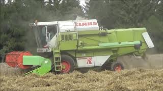 Žně 2019 Claas Dominator 78 S