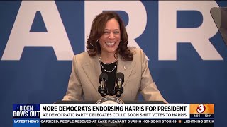 Delegates for Arizona Dems expected to support Harris for President