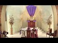 Father Mark Beard's Homily - 