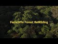 Ferncliffe Forest ReWilding,  Pietermaritzberg - Restor