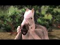 Horse Man (Ep14) The Mask