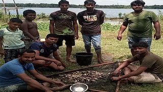 গ্রামের বিলে মাছ ধরার আয়োজন।।  Awesome Traditional Hand Fishing Video । Fishing From Mud Water...