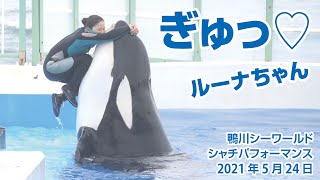 ぎゅっ♡　ルーナちゃん【2021年5月24日】Orca performance, Kamogawa Sea World, Japan