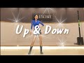 Up & Down Line Dance Demo(업 앤 다운)|Improver