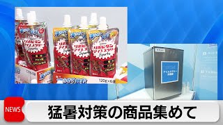 猛暑対策商品の展示会　飲んで冷やす「アイススラリー」に注目