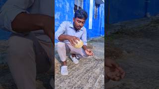 কতটা উপর থেকে পড়লে একটি নারকেল ফাটবে🥥🥥 #short #experiment