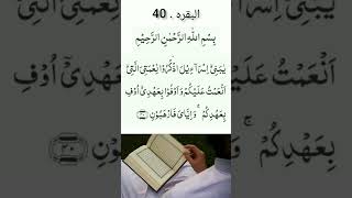 holy Qur'an part 1# Al Baqarah 40#arabic # recitation #youtubeshorts