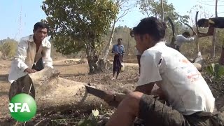 Deforestation Leaves Barren Hills in Myanmar’s Rakhine State