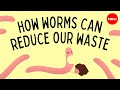 Vermicomposting: How worms can reduce our waste - Matthew Ross Vermicomposting: How worms can reduce our waste - Matthew Ross
