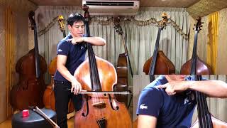 How to Play Double Bass with Bow