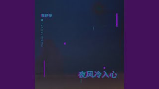 夜风冷入心 (DJ版伴奏)