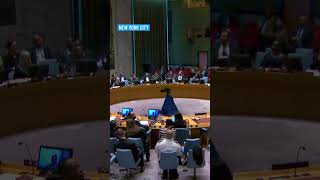 Earthquake interrupts UN Security Council in NYC | NBC New York