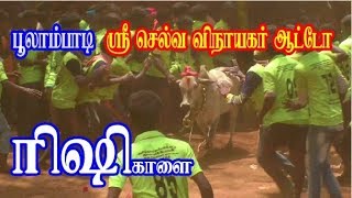 அர்ச்சுனாபுரம் ஜல்லிக்கட்டில் பூலாம்பாடி ஸ்ரீ செல்வ விநாயகர் ரிஷி காளை