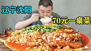 东北物价恐怖如斯！13个菜才72元！焖鱼肘子炖鸡溜肉段一半是肉菜#美食#探店#吃播#胖虎老刘