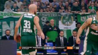 Xavi Pascual — Panathinaikos: Horns | Double Flare