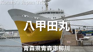 青函連絡船メモリアルシップ八甲田丸さんぽ【青森県青森市柳川】2022/4 青函連絡船さんぽ