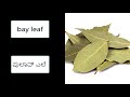 leaves name in kannada learn kannada ಎಲೆಗಳ ತರಕಾರಿಗಳು