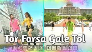 Tor Forsa Gale Tol [Slowed+Reverbed] | তোর ফর্সা গালে টোল LoFi | Action | Om | Bangla Lofi Song |