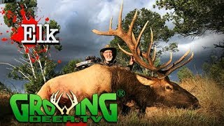 Bow Hunting Elk: The Big Herd Bull in a Last Chance New Mexico Elk Hunt(#411) @GrowingDeer.tv