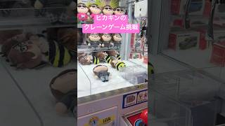 GIGOのヒカキンクレーンゲームやってみた🐝#ヒカキン#クレーンゲーム#GIGO