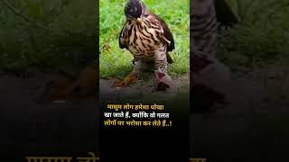 मासूम लोग हमेशा धोखा खा जाते है,क्योंकि #shorts #youtubeshorts #dhokha #motivation #emotional