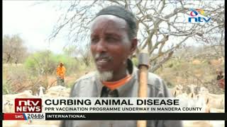 Peste des Petis Ruminants (PPR) vaccination program ongoing in Mandera