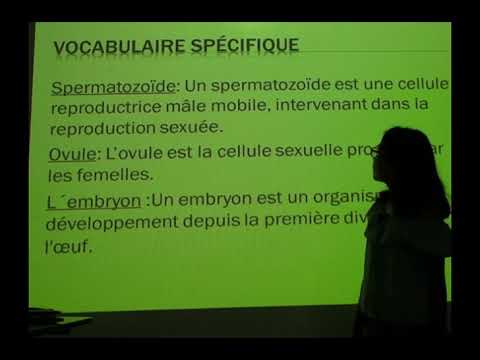 La Reproduction Humaine CM2 B - YouTube