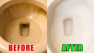 How to Clean a Very Dirty Toilet Bowl