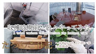 【新規就農】収穫時期前に色々やってみた【田舎暮らし】たつんこ日記