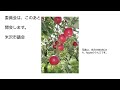 令和４年６月１６日米沢市議会産業建設常任委員会