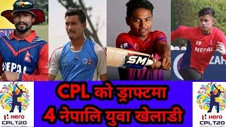 CPL 2019 | Cpl को ड्राफ्ट मा 4 नेपालि युवा खेलाडी | Cricket Hour Nepal