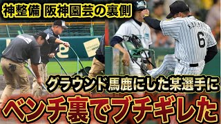 【阪神園芸】甲子園の神整備の裏側を語ります