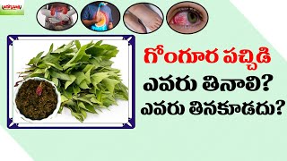 గోంగూర పచ్చడి ఎవరు తినాలి  ఎవరు తినకూడదు | Health Benefits of Gongura (Sorrel Leaves) | Aarogyasutra