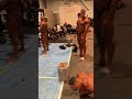 classic physique backstage mr olympia 2024