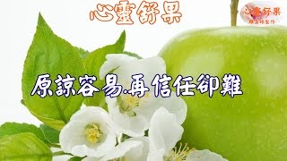 心靈舒果-原諒容易 再信任卻難