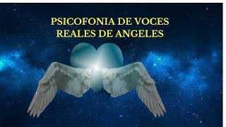 ¡ VOCES REALES DE ANGELES ! ¡ IMPACTANTE !