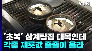 '초복' 삼계탕집 대목인데...사장님도 손님도 '한숨' / YTN