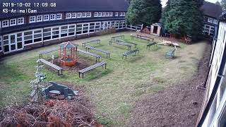 Kingsmead School's AnimalCam!