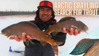 ICE FISHING TIPS: Finding BEST SPOT for CUTTHROAT TROUT and ARCTIC GRAYLING (Montana)