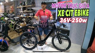 Khui Thùng Xe CIT EBike Motor Trục Giữa 36V350w Thị Trường Giá Rẻ Mô Men Xoắn Trợ Lực Điện Đài Loan