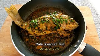 Mala Steamed Fish - မာလာငါးပေါင်း (မာလာငါးေပါင္း)